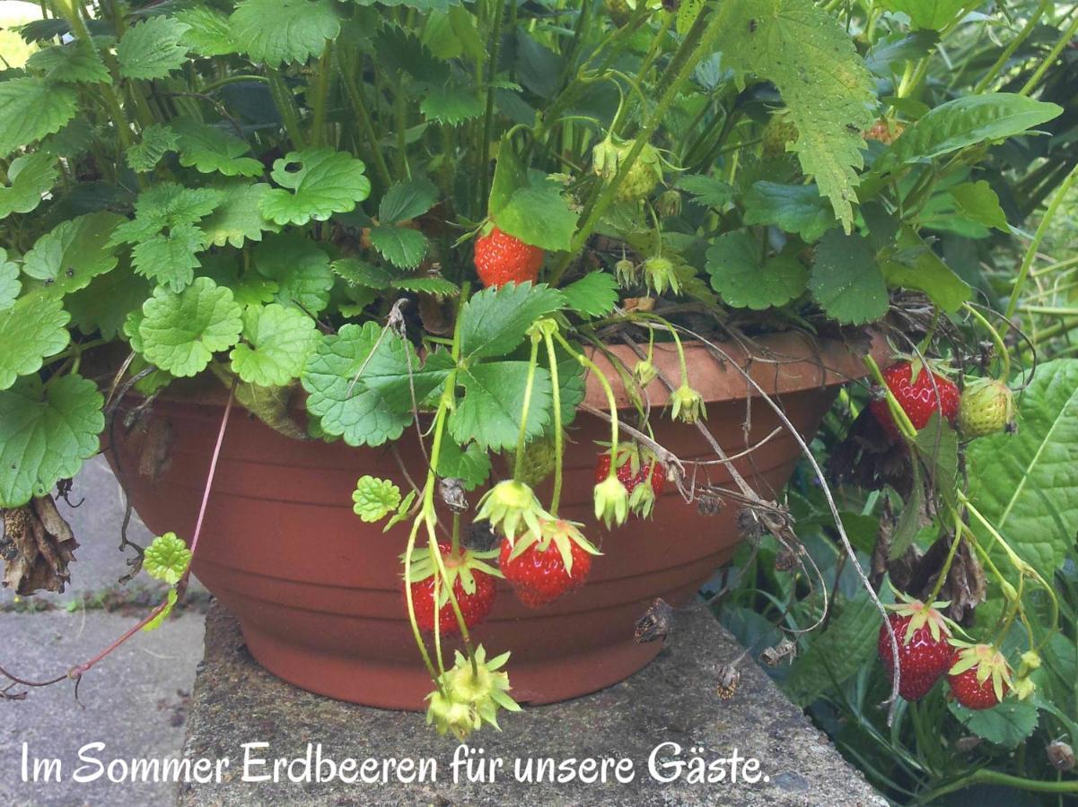 Ferienwohnung Am Ellerbach Hessisch Oldendorf Zewnętrze zdjęcie